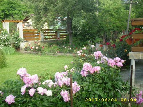Hostal Villa Ribarica