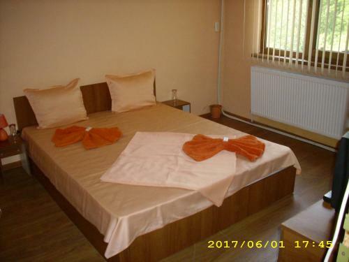 Hostal Villa Ribarica