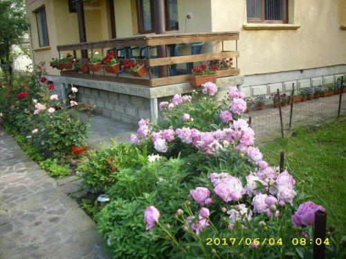 Hostal Villa Ribarica