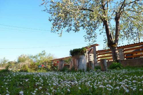 Hostal Villa Ribarica