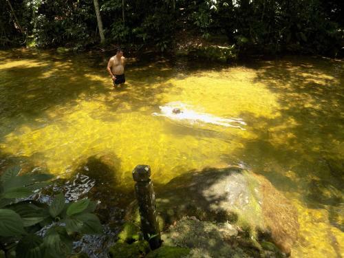 Hostal Pousada Recanto Da Natureza