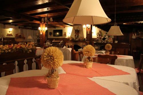 Hotel Stelter