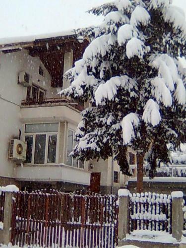 Hostal Bonbon Guest House