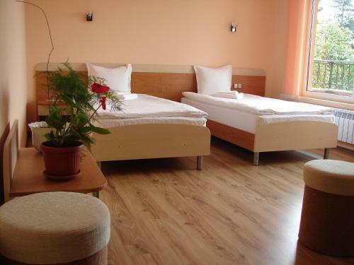 Hotel ??? ????? ??????????