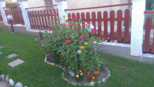 Hostal Guest House Meraklii