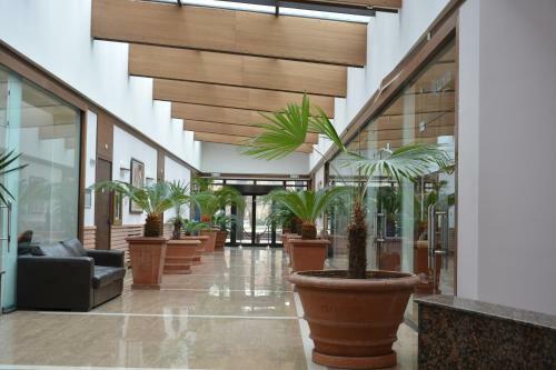 Hotel Presidivm Palace