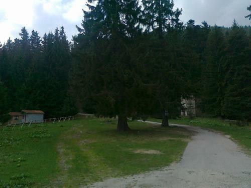Hostal Kompleks Zeleni Preslap