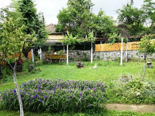 Hostal Divna Guest House