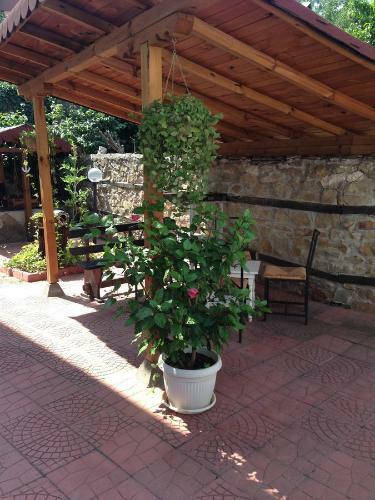 Hotel Bilyana