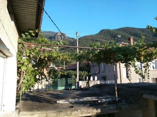 Hostal Guest House Emiliya