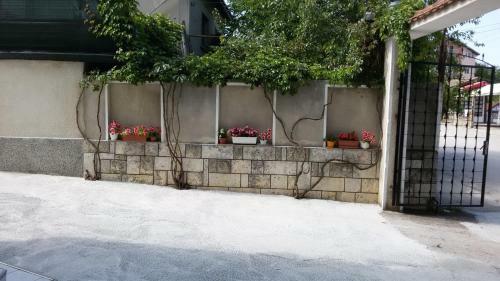 Hostal Guest House Orfey