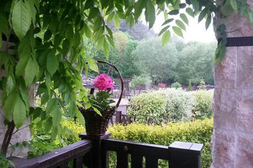 Hostal Guest House Pekliuk