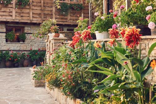 Hostal Yovina House Zheravna