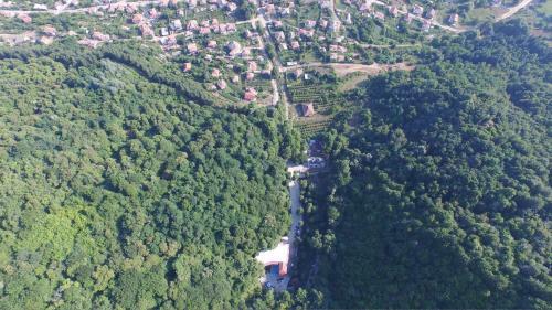 Hotel Saint Nedelya