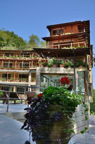 Hotel Saint Nedelya