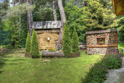 Villa Borovinka