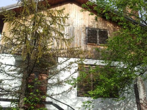 Guest House Zdravets