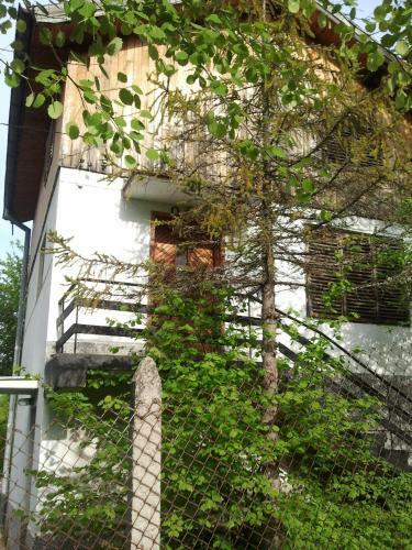 Guest House Zdravets