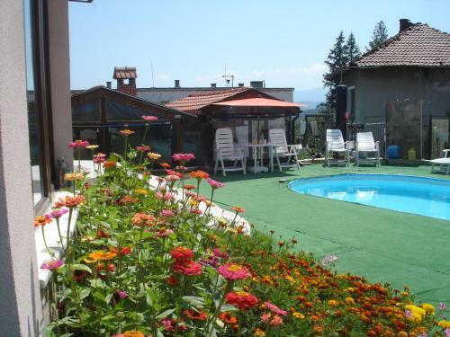 Hostal Guest House Camellia