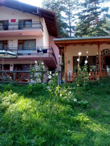Hostal Family Hotel Shisharka