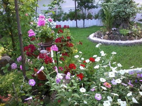Apartamento Rooms Veska