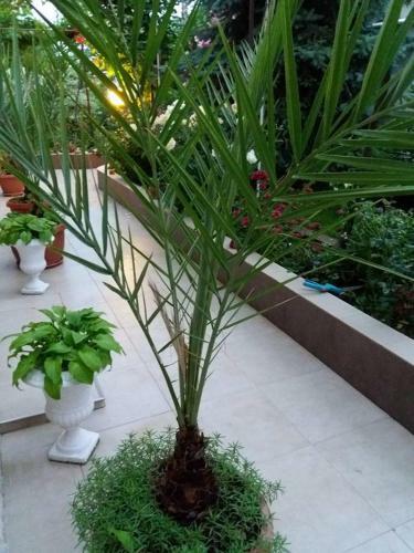 Apartamento Rooms Veska
