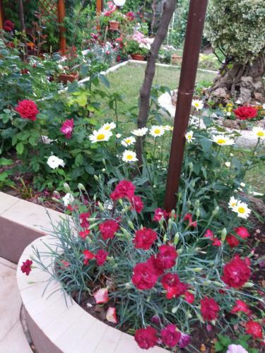Apartamento Rooms Veska