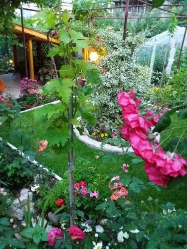 Apartamento Rooms Veska