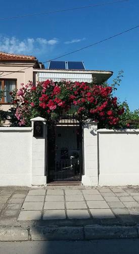 Apartamento Rooms Veska