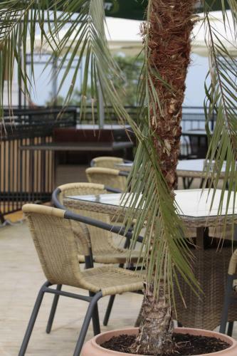 Hostal Guest House Palazzo