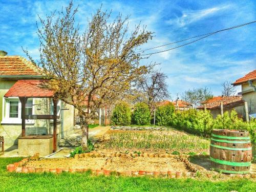 Hostal Guest House Dimi