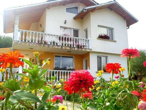 Hostal Guest House Debrina