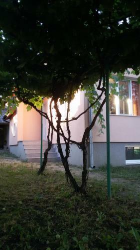 Hostal Lozitsa Guest House