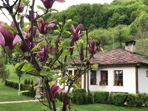 Hostal Complex Bozhilovo
