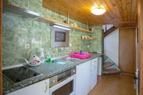 Vacation Home Selo Boykovets