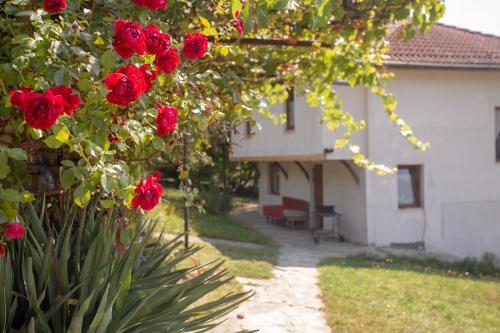 Vacation Home Selo Boykovets