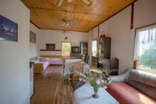 Vacation Home Selo Boykovets