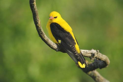 Agroturismo Nature Travel