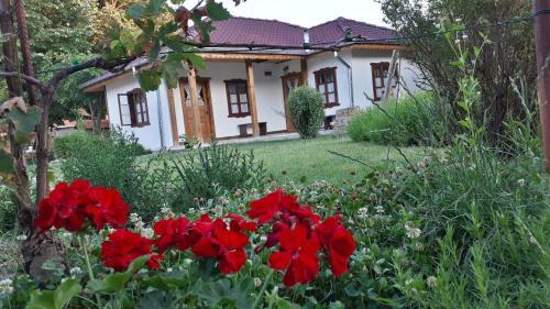 Hostal Babinata Kashta-srebarna