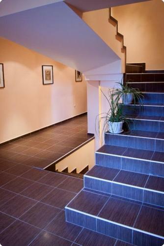 Hostal Kyshta Za Gosti Tam Krai Rekata