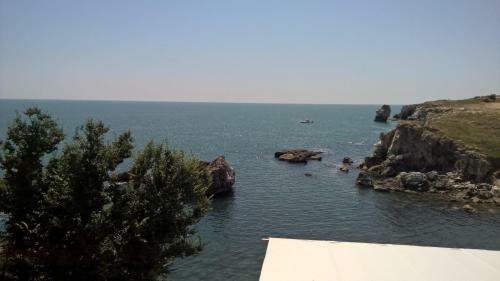 Hotel Tyulenovo