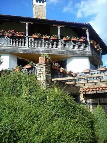 Hostal Vila Nikolina Guesthouse