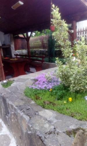 Guest House Lazar Raykov