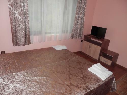 Family Hotel Borovitsa