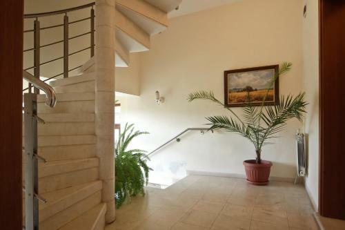 Hostal Anita House