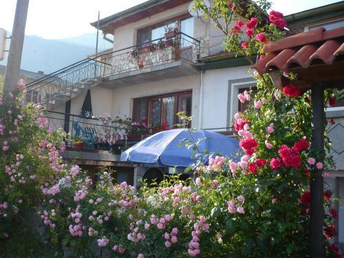 Hostal Guest House Iglika