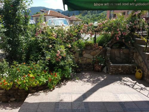 Hostal Guest House Iglika
