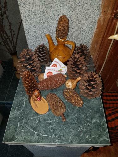 Hostal Guest House Iglika