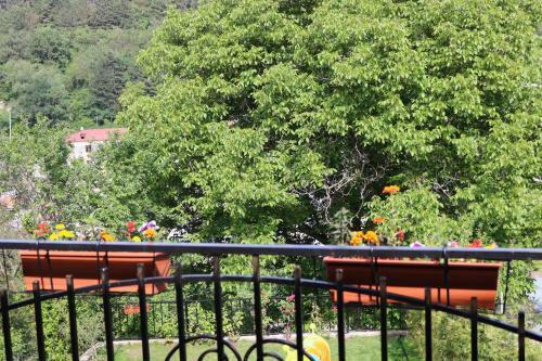 Villa Dilijan Garden House