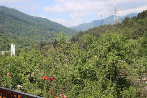Villa Dilijan Garden House